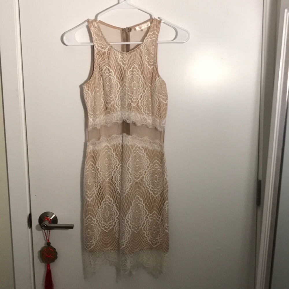 White Lace and Sheer Mesh Dress